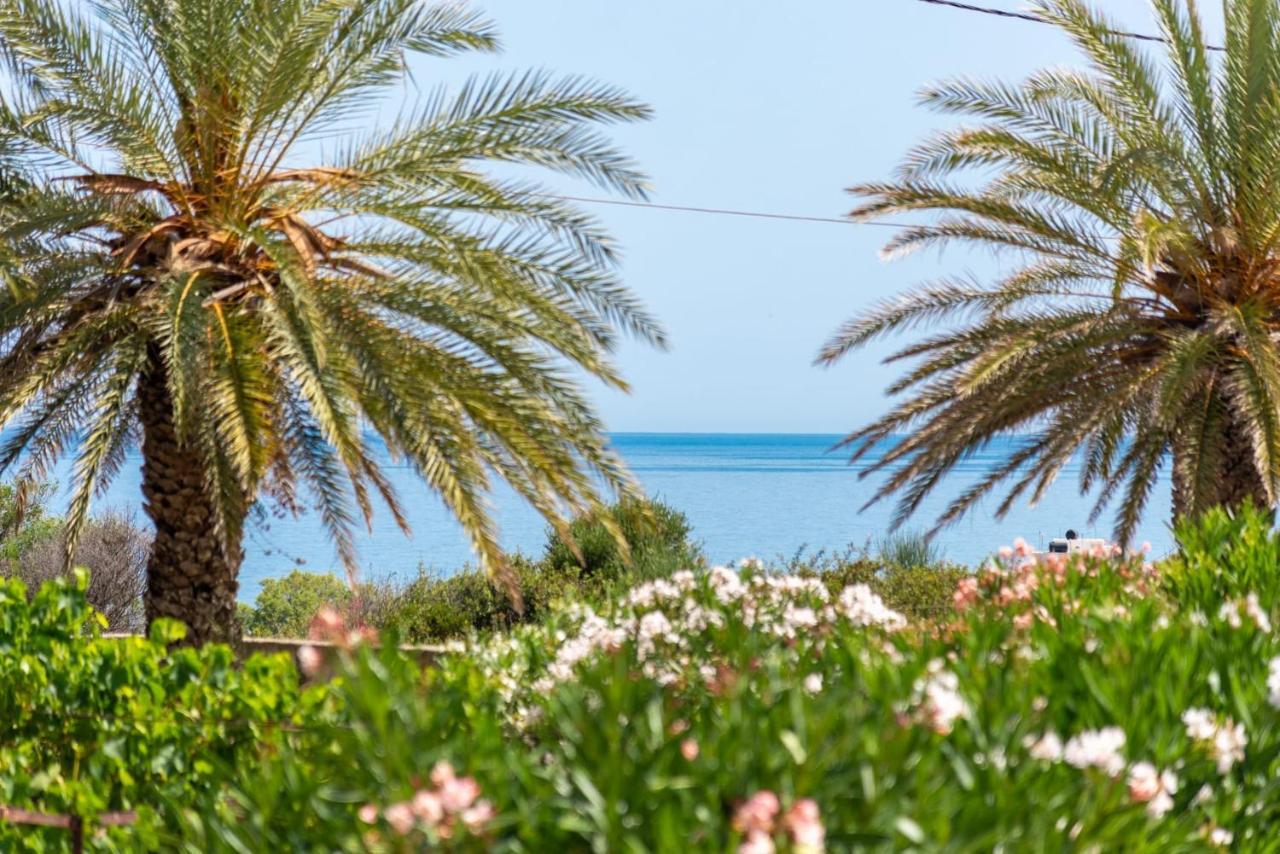 Апартаменти Carissa House In Crete Сітія Екстер'єр фото