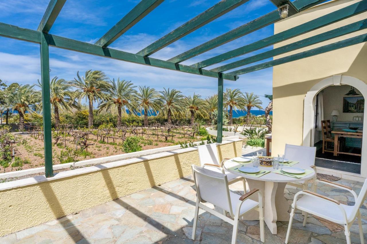 Апартаменти Carissa House In Crete Сітія Екстер'єр фото